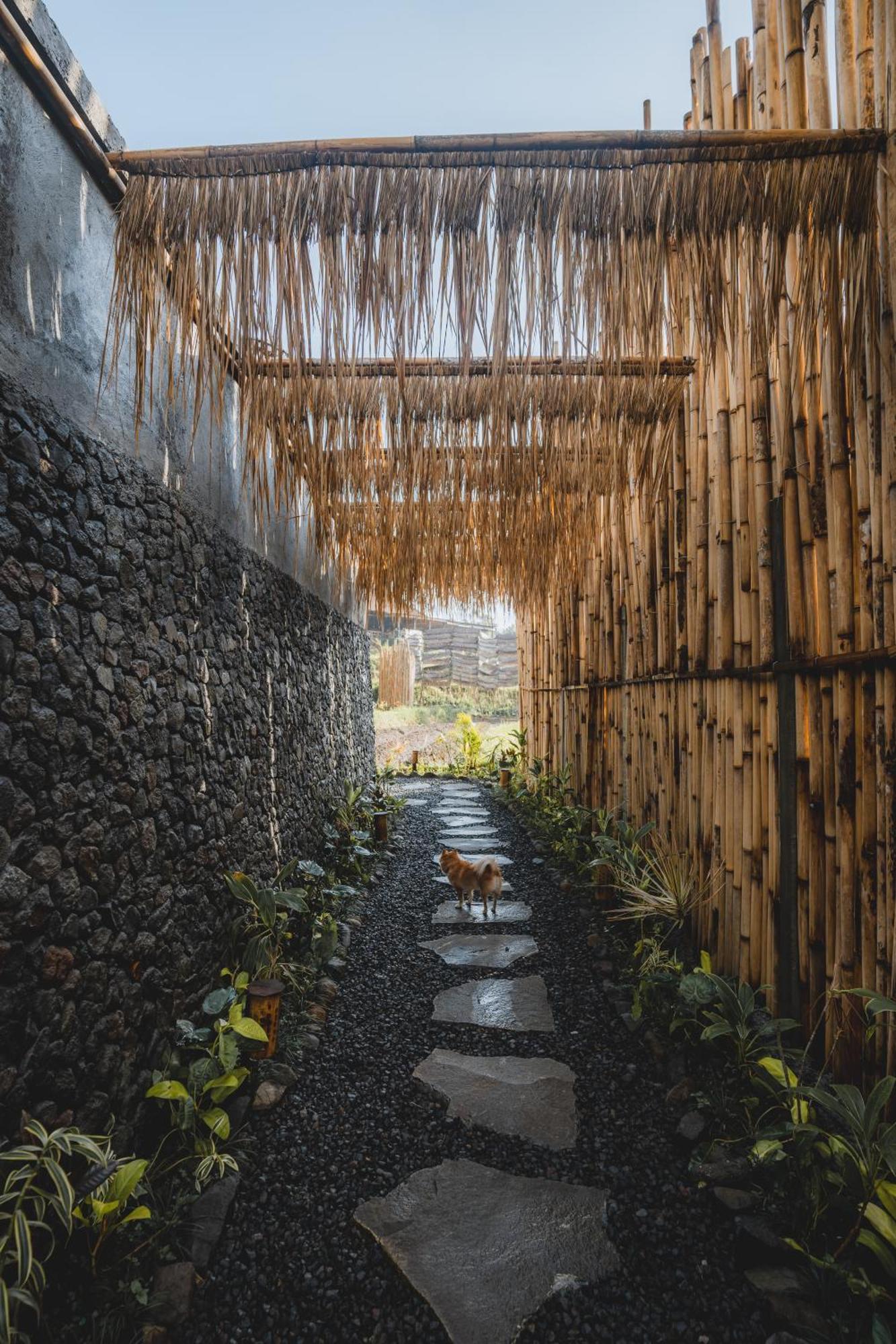 Nivriti Bali Sidemen (Bali) Exterior foto